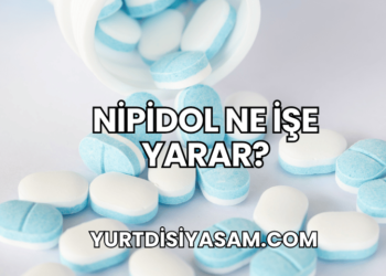 Nipidol Ne İşe Yarar?