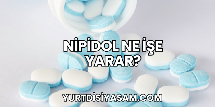 Nipidol Ne İşe Yarar?