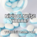 Nipidol Ne İşe Yarar?