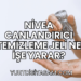 Nivea Canlandırıcı Temizleme Jeli Ne İşe Yarar?