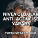 Nivea Cellular Anti-Age Ne İşe Yarar?
