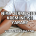 Niya Derme Gece Kremi Ne İşe Yarar?