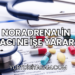 Noradrenalin İlacı Ne İşe Yarar?
