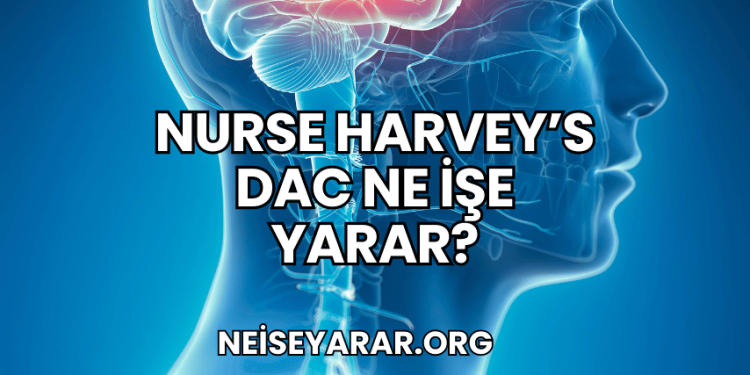 Nöroloji Bölümü Ne İşe Yarar?