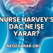 Nöroloji Bölümü Ne İşe Yarar?