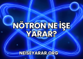 Nötron Ne İşe Yarar?