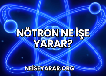 Nötron Ne İşe Yarar?