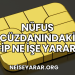 Nüfus Cüzdanındaki Çip Ne İşe Yarar?