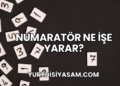 Numaratör Ne İşe Yarar?