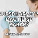 Nurse Harvey's DAC Ne İşe Yarar?