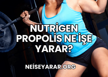 Nutrigen Propolis Ne İşe Yarar?