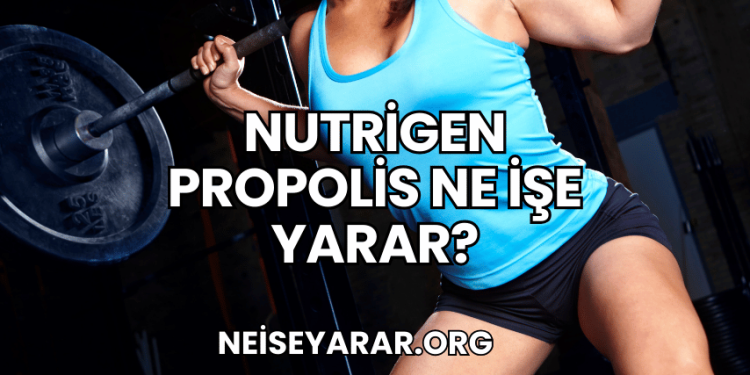Nutrigen Propolis Ne İşe Yarar?