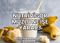 Nutrivigor Muzlu Ne İşe Yarar?