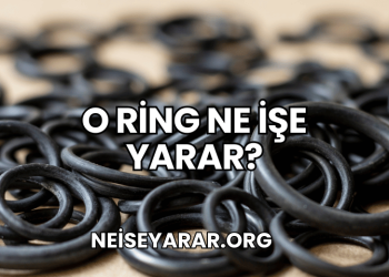 O Ring Ne İşe Yarar?