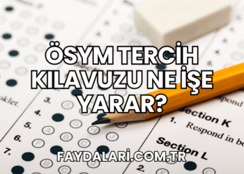 ÖSYM Tercih Kılavuzu Ne İşe Yarar?