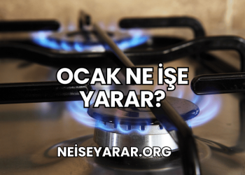 Ocak Ne İşe Yarar?