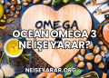 Ocean Omega 3 Ne İşe Yarar?