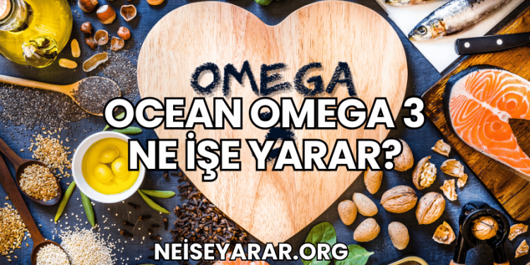 Ocean Omega 3 Ne İşe Yarar?