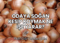 Odaya Soğan Kesip Koymak Ne İşe Yarar?