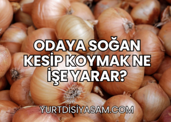 Odaya Soğan Kesip Koymak Ne İşe Yarar?