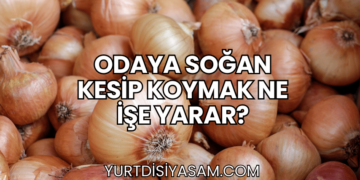 Odaya Soğan Kesip Koymak Ne İşe Yarar?