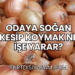 Odaya Soğan Kesip Koymak Ne İşe Yarar?