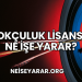 Okçuluk Lisansı Ne İşe Yarar?