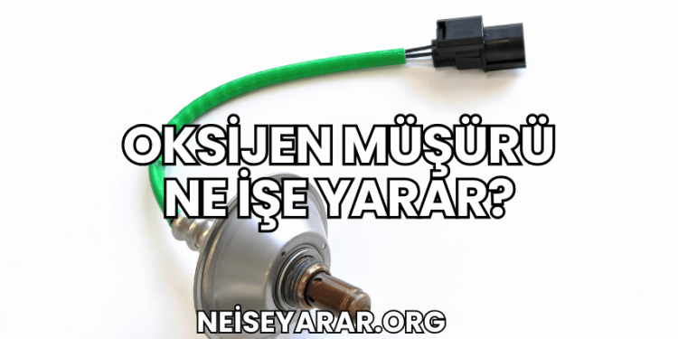 Oksijen Müşürü Ne İşe Yarar?