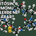 Oksitosin Hormonu Erkeklerde Ne İşe Yarar?