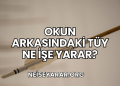 Okun Arkasındaki Tüy Ne İşe Yarar?