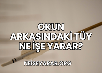 Okun Arkasındaki Tüy Ne İşe Yarar?