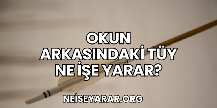 Okun Arkasındaki Tüy Ne İşe Yarar?