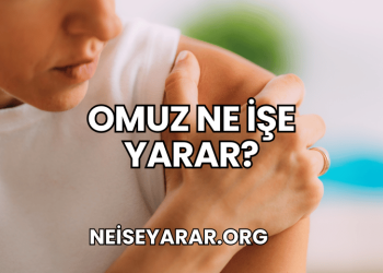 Omuz Ne İşe Yarar?