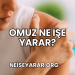 Omuz Ne İşe Yarar?