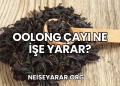 Oolong Çayı Ne İşe Yarar?