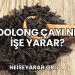 Oolong Çayı Ne İşe Yarar?