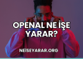 OpenAL Ne İşe Yarar?