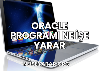 Oracle Programı Ne İşe Yarar