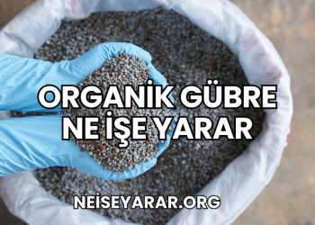 Organik Gübre Ne İşe Yarar