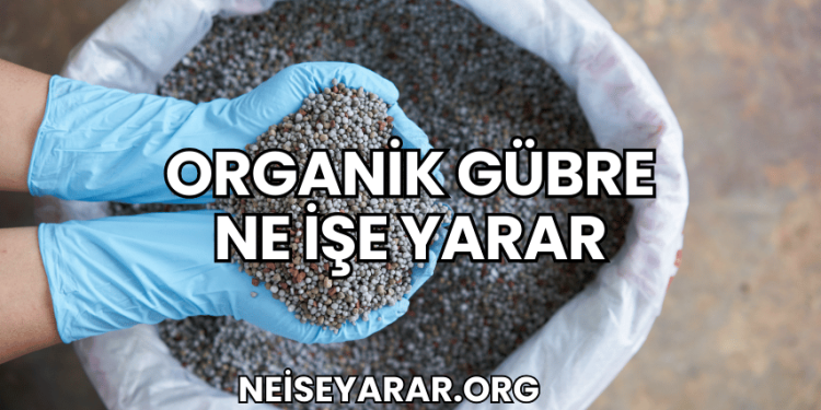 Organik Gübre Ne İşe Yarar