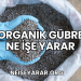 Organik Gübre Ne İşe Yarar