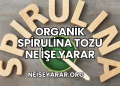 Organik Spirulina Tozu Ne İşe Yarar