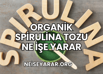 Organik Spirulina Tozu Ne İşe Yarar