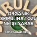 Organik Spirulina Tozu Ne İşe Yarar