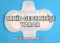 Orkid Gece Ne İşe Yarar