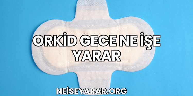 Orkid Gece Ne İşe Yarar
