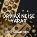 Orviax Ne İşe Yarar
