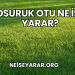 Osuruk Otu Ne İşe Yarar?