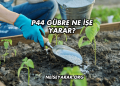 P44 Gübre Ne İşe Yarar?