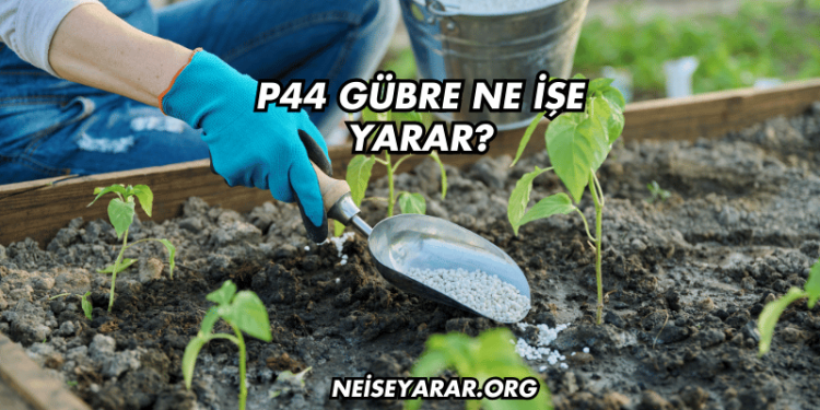 P44 Gübre Ne İşe Yarar?